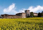 Immagine che raffigura Il castello di Lurano